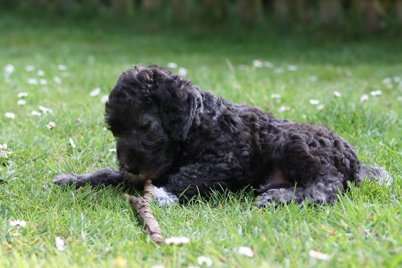 Arc-en-ciel Antares 2009-06-30 (22).JPG